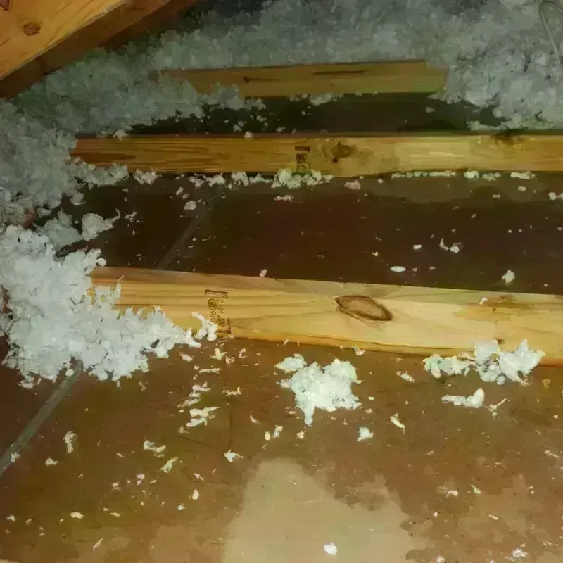 Attic Water Damage in Wheeling, WV