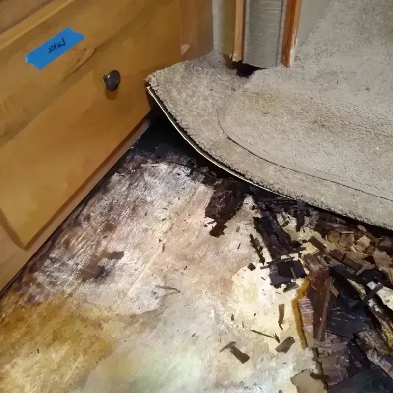 Best Wood Floor Water Damage Service in Wheeling, WV